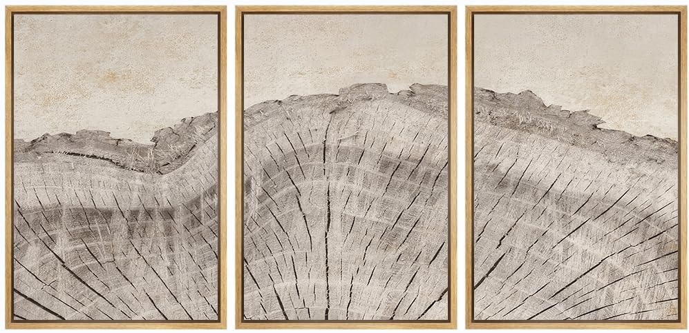 Sage Green Boho Wall Art Set of 3, Minimalist Framed Wall Art Geometric Line Leaf Sun Moon Beige Green Canvas Artwork Paintings, Abstract Botanical Boho Room Decor, Office, 12"x16"