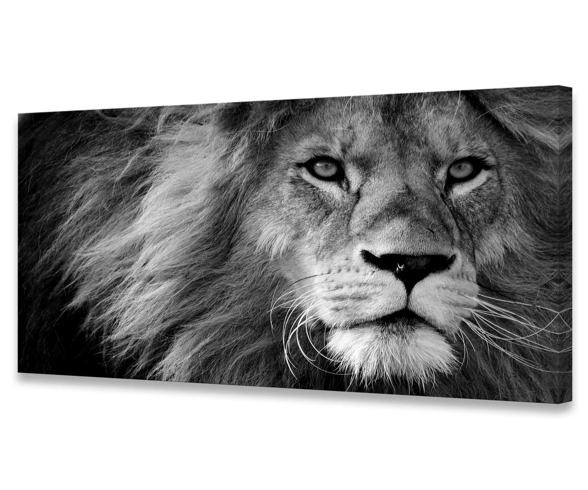 Baisuart A61275 Canvas Prints Abstract Wall Art Print Paintings Grey and Brown Stretched Canvas Wooden Framed for living Room Bedroom and Office Home Decor Artwork XXLarge 30x60inch