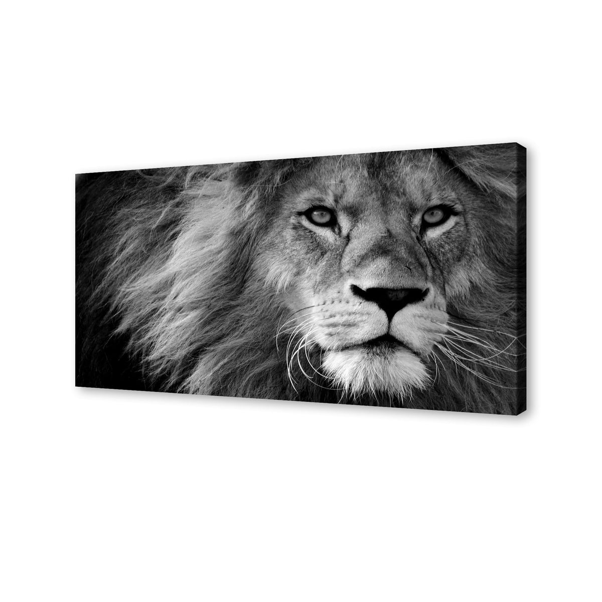 Baisuart A61275 Canvas Prints Abstract Wall Art Print Paintings Grey and Brown Stretched Canvas Wooden Framed for living Room Bedroom and Office Home Decor Artwork XXLarge 30x60inch